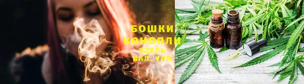 трава Михайловск
