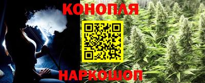 apvp Аргун