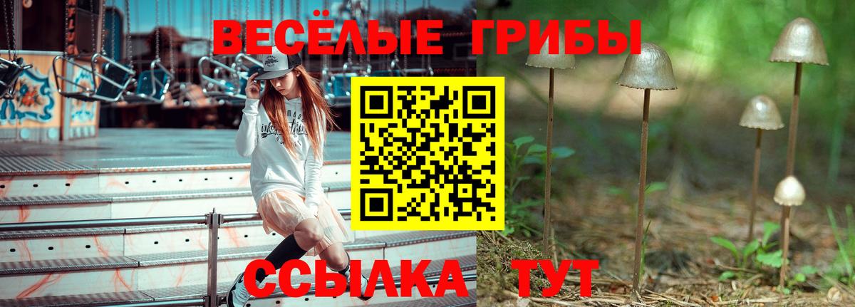 Галлюциногенные грибы Magic Shrooms Березники